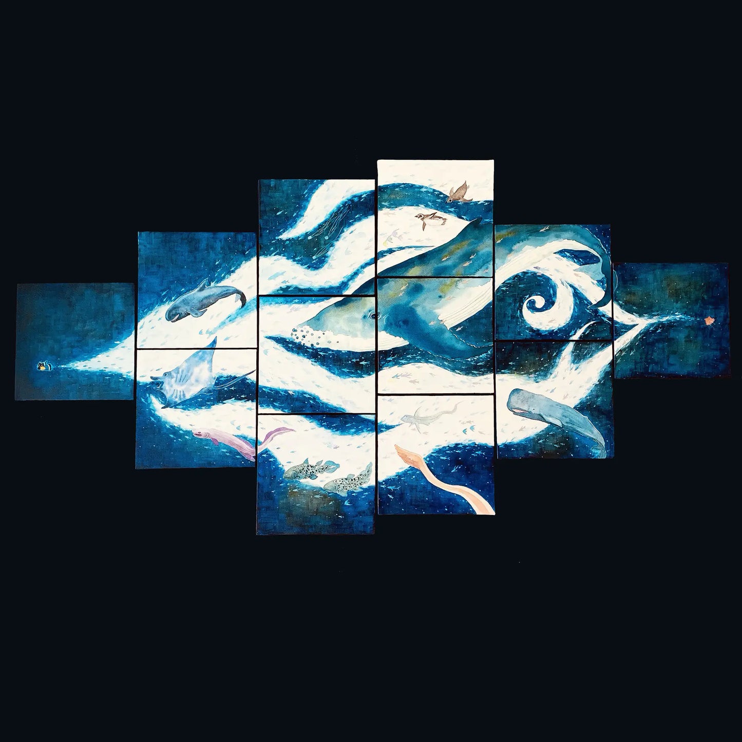 クロと海の生き物